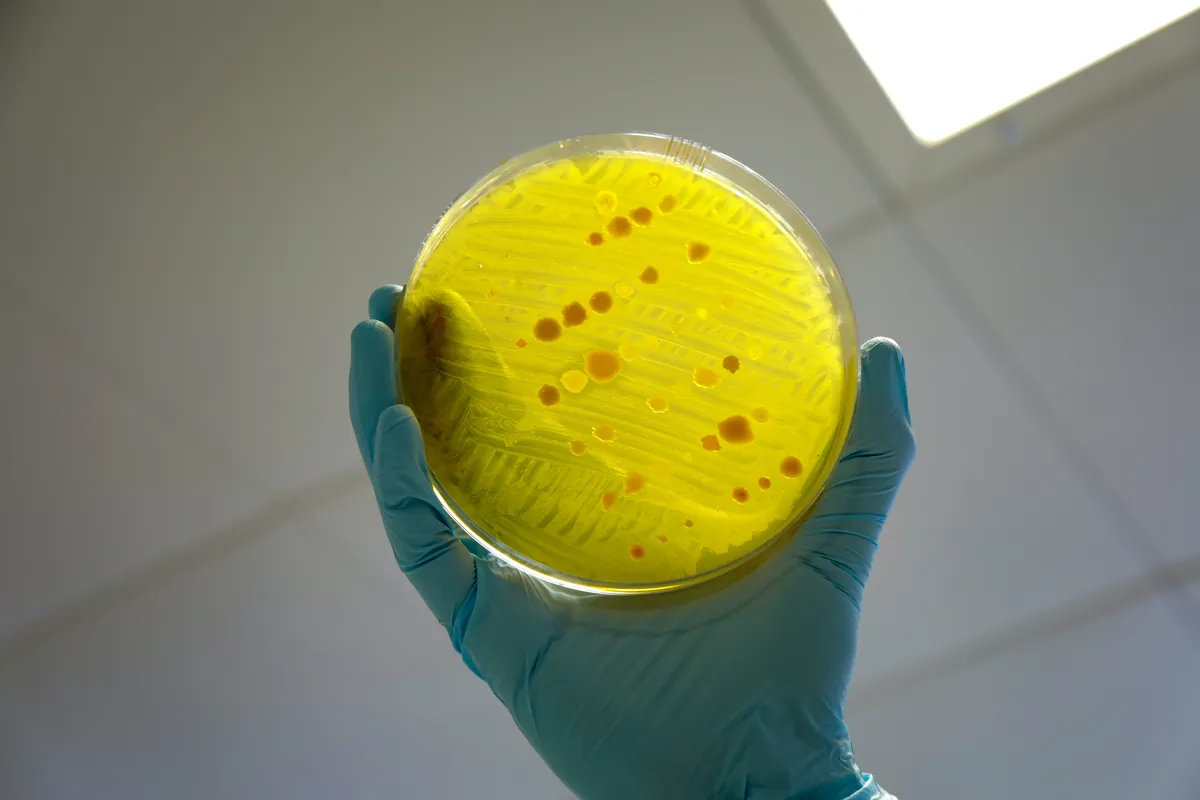 Biochemicals & Reference Materials